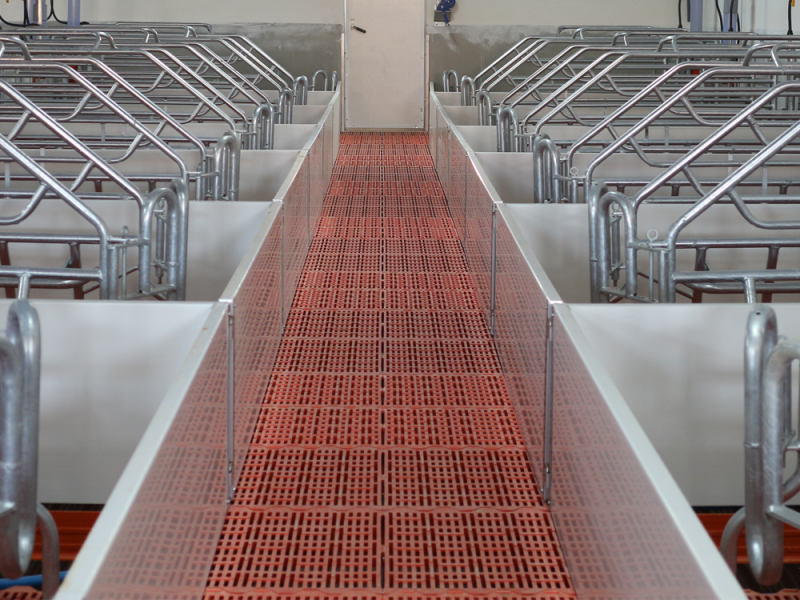 SLAT FOR SOWS | Exafan